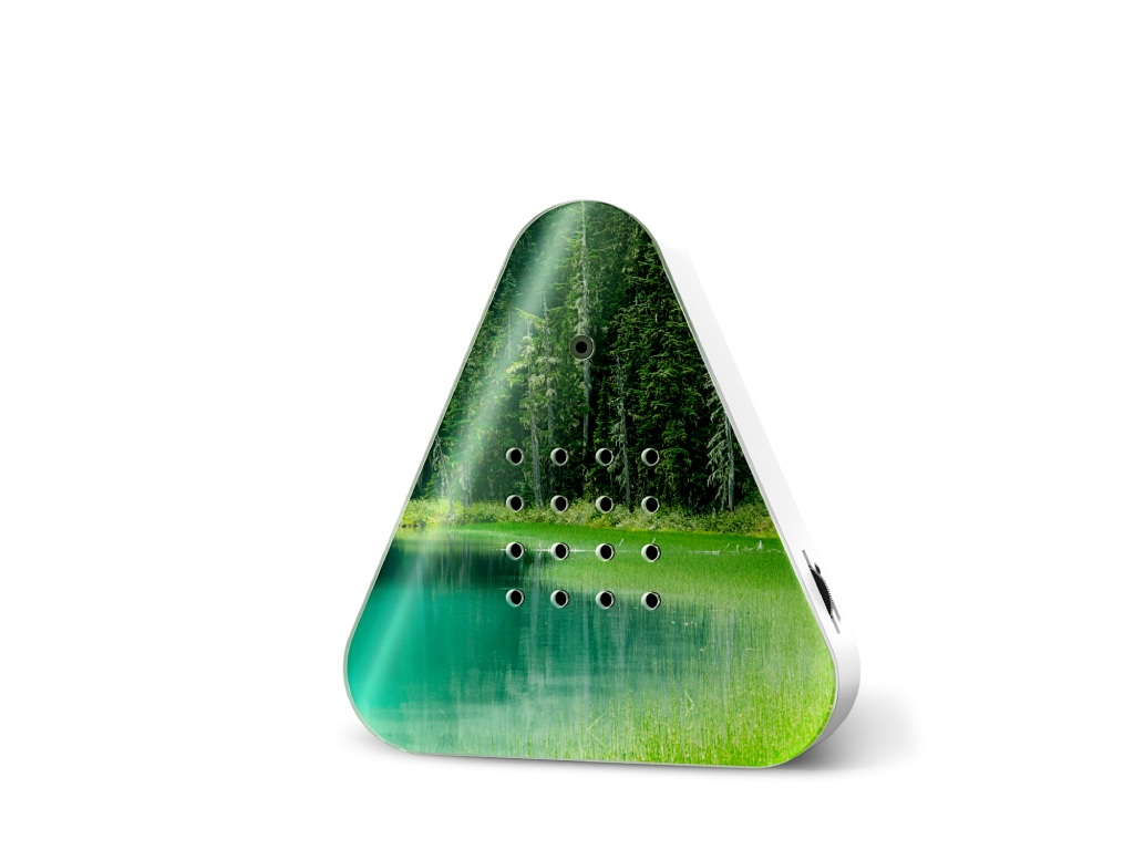 Forest Lake