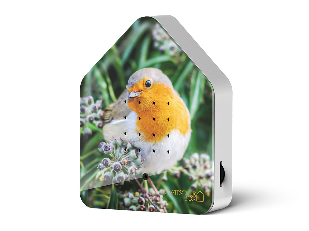 Zwitscherbox Robin Redbreast